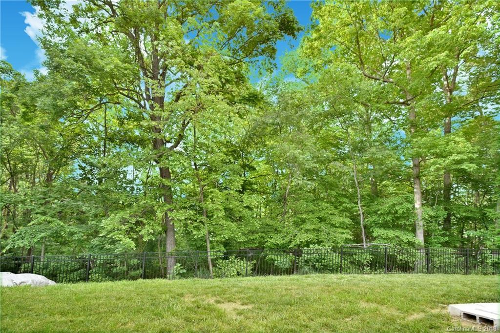 6426 Round Hill Road Charlotte, NC 28211 - Photo 22 of 23 a view of a yard with a trees