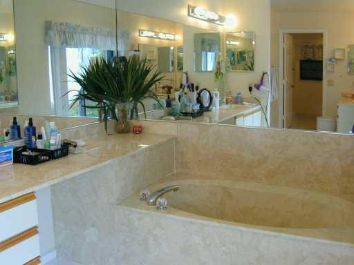 20681 Bay Brooke Court Boca Raton, FL 33498 - Photo 4 of 16 MASTER BATHROOM