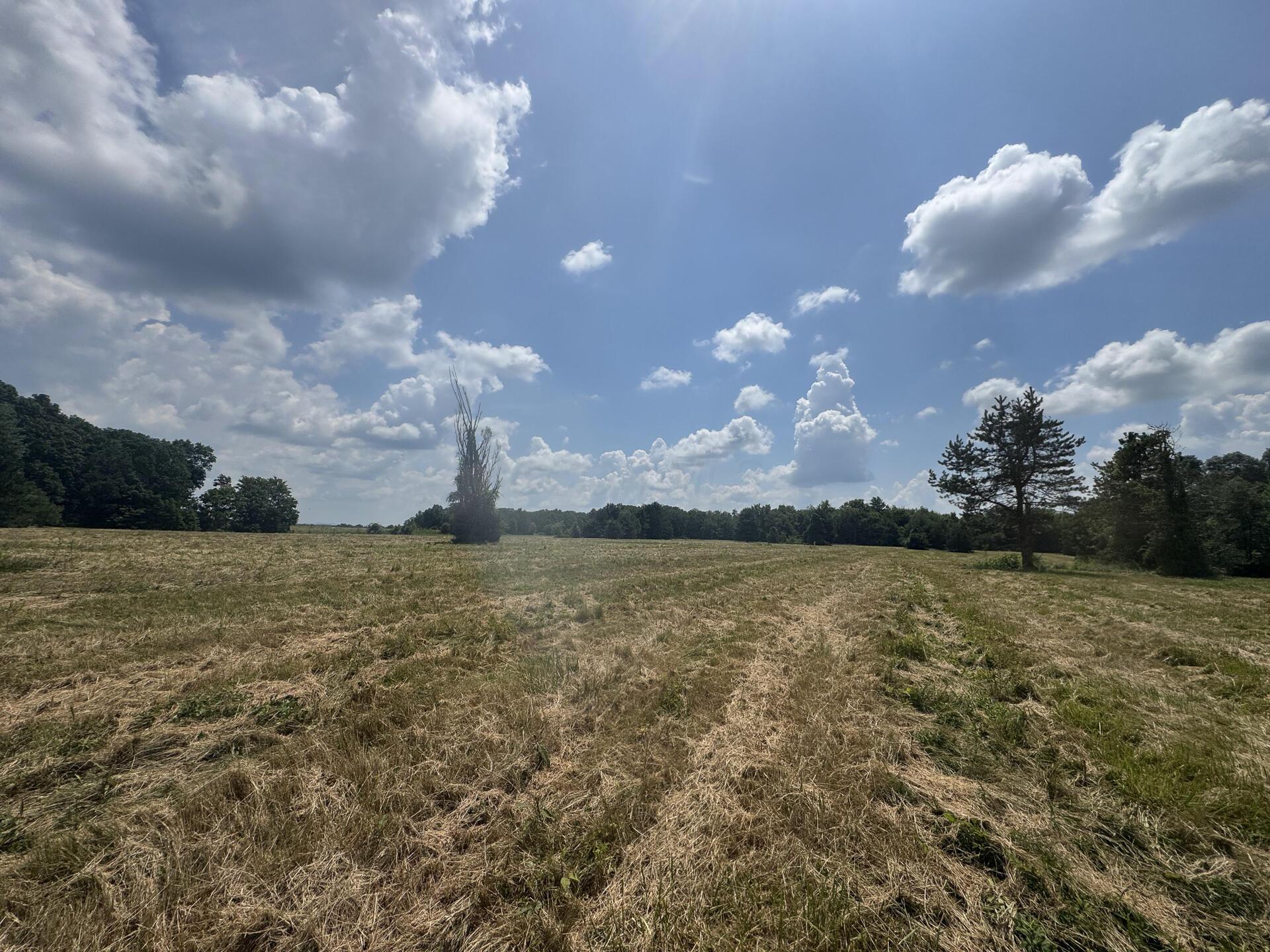 370 Golf Course Road, Unit TRACT 5 SKYLINEACRES) Waverly, OH 45690 - Photo 13 of 38 CT-13