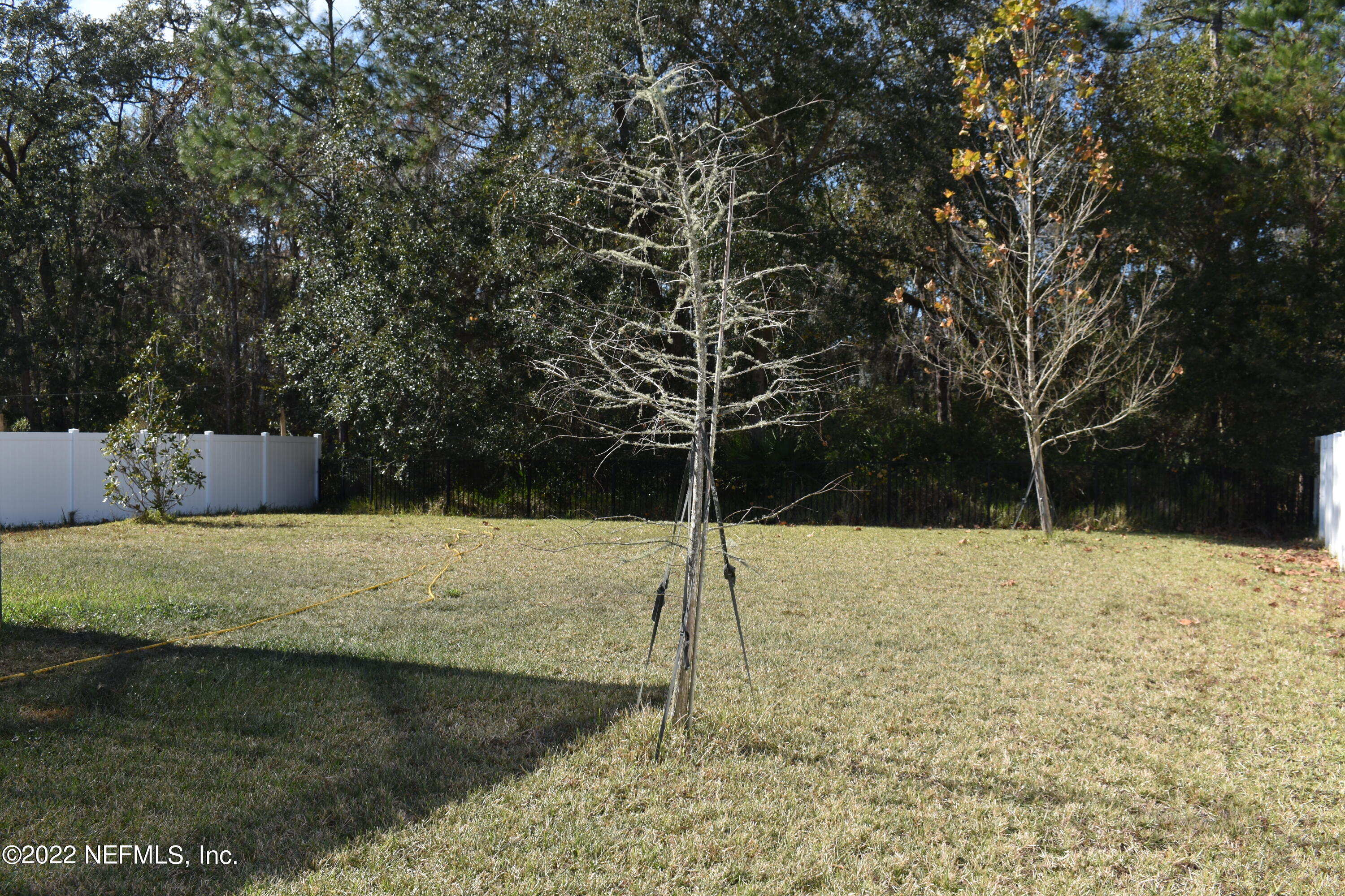 99 Footbridge Road St. Johns, FL 32259 - Photo 4 of 76 Backyard