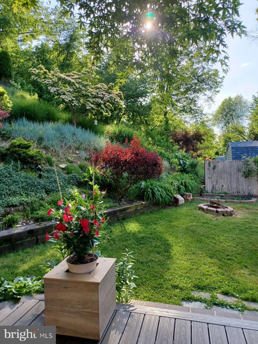 499 Irish Road Berwyn, PA 19312 - Photo 28 of 29 Yard in Summertime