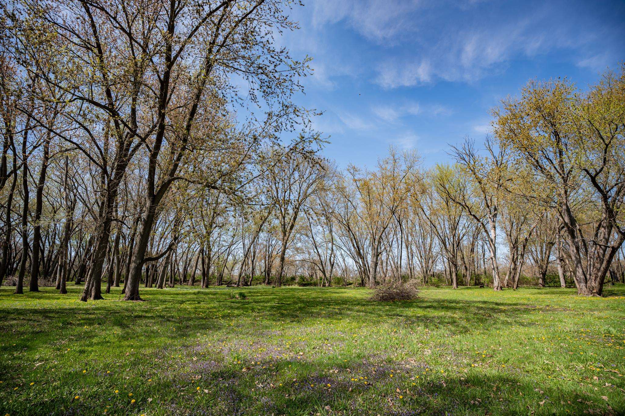 5968 East Bradley Road Byron, IL 61010 - Photo 35 of 40 a view of outdoor space with green field