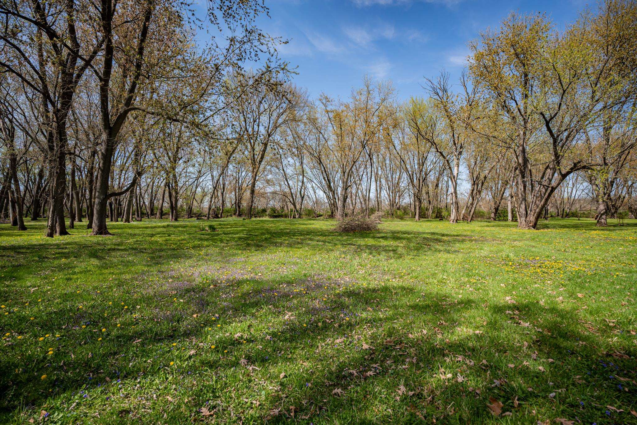 5968 East Bradley Road Byron, IL 61010 - Photo 38 of 40 a backyard of apartments with trees