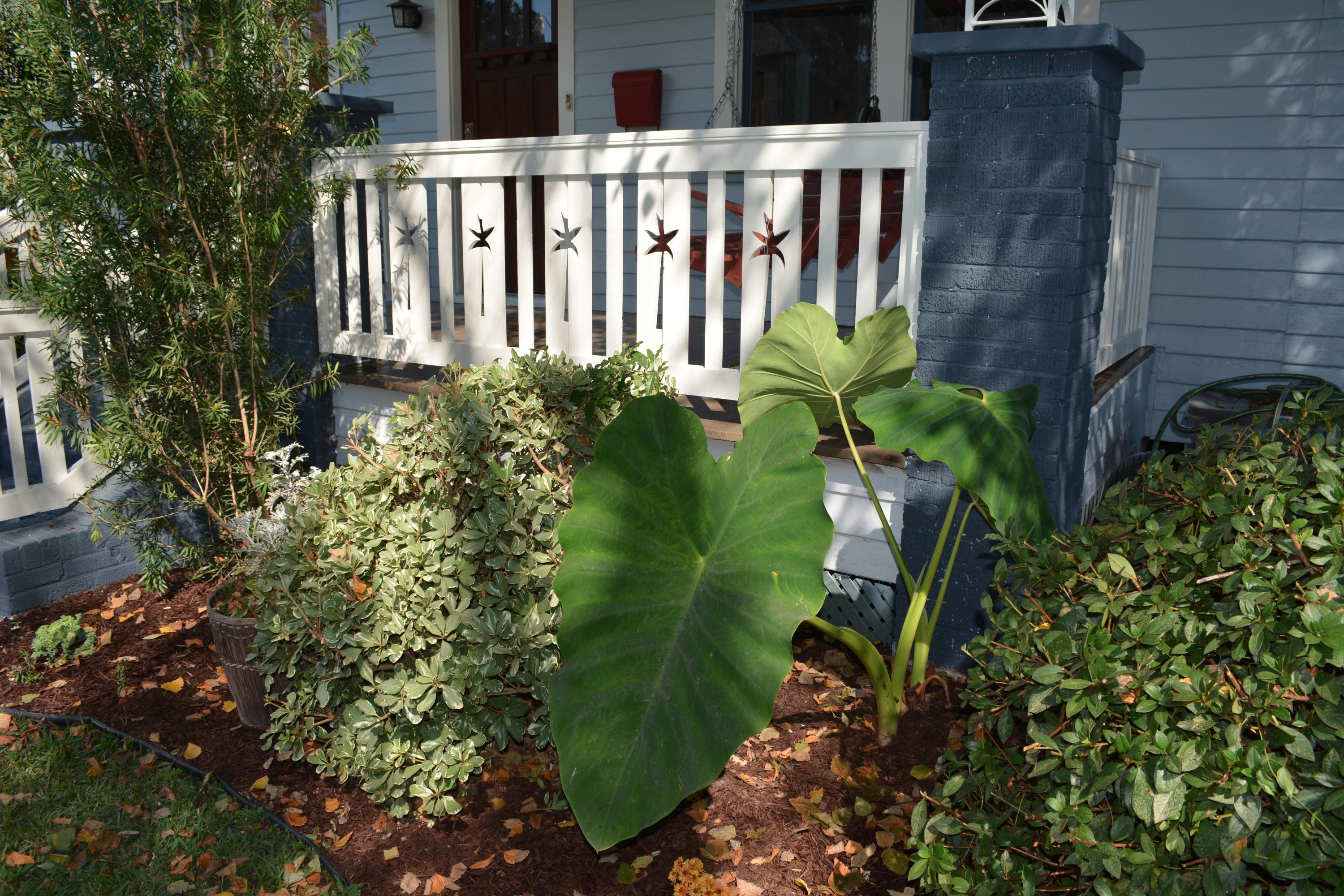 23 Wedgepark Road Charleston, SC 29407 - Photo 3 of 30 Railing Detail