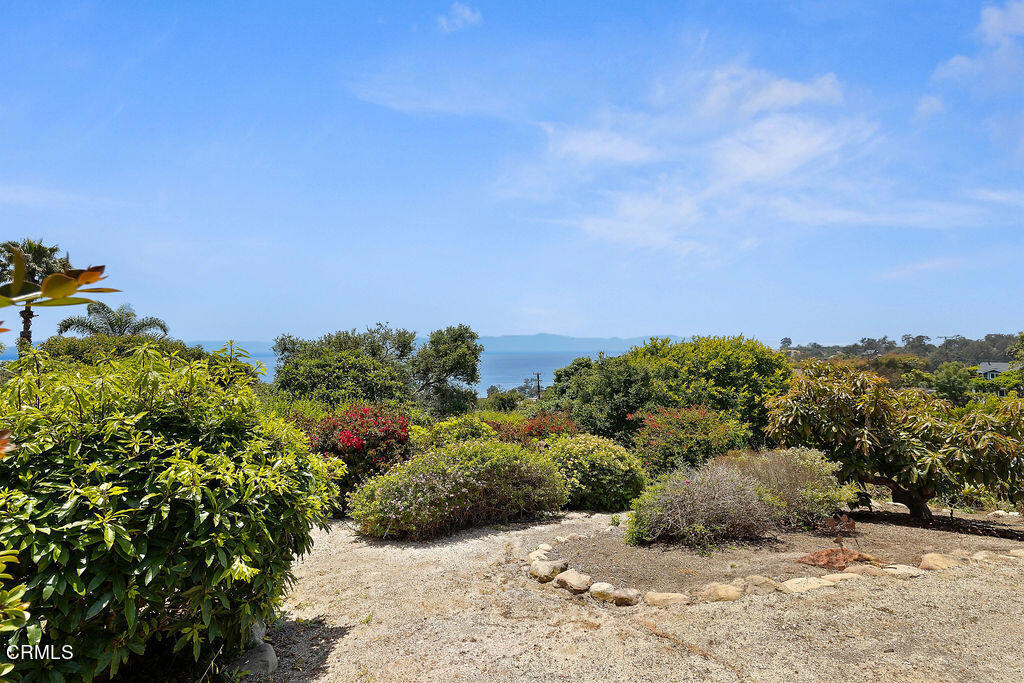 2335 Whitney Avenue Summerland, CA 93067 - Photo 28 of 33 a view of a bunch of flowers and trees