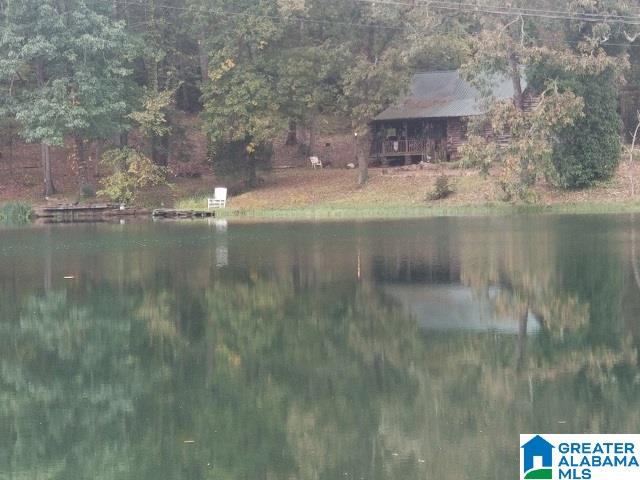 481 Aderholdt Mill Road Jacksonville, AL 36265 - Photo 1 of 10