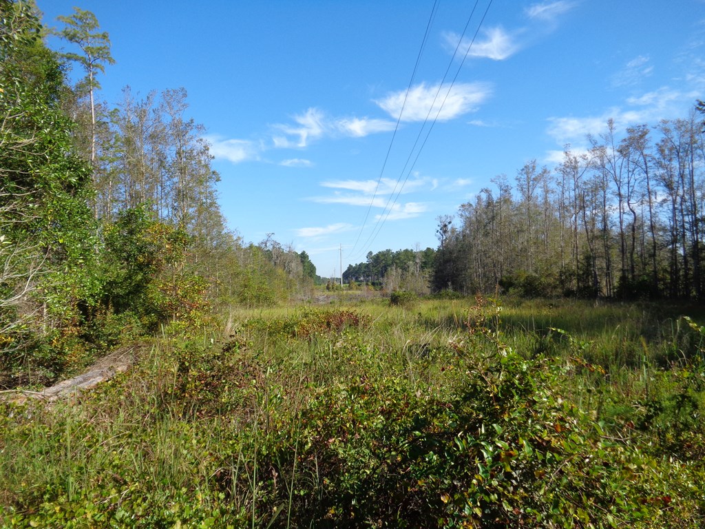 148-ac Skipper Road Slocomb, AL 36375 - Photo 8 of 23