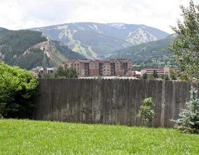 Primary Photo
