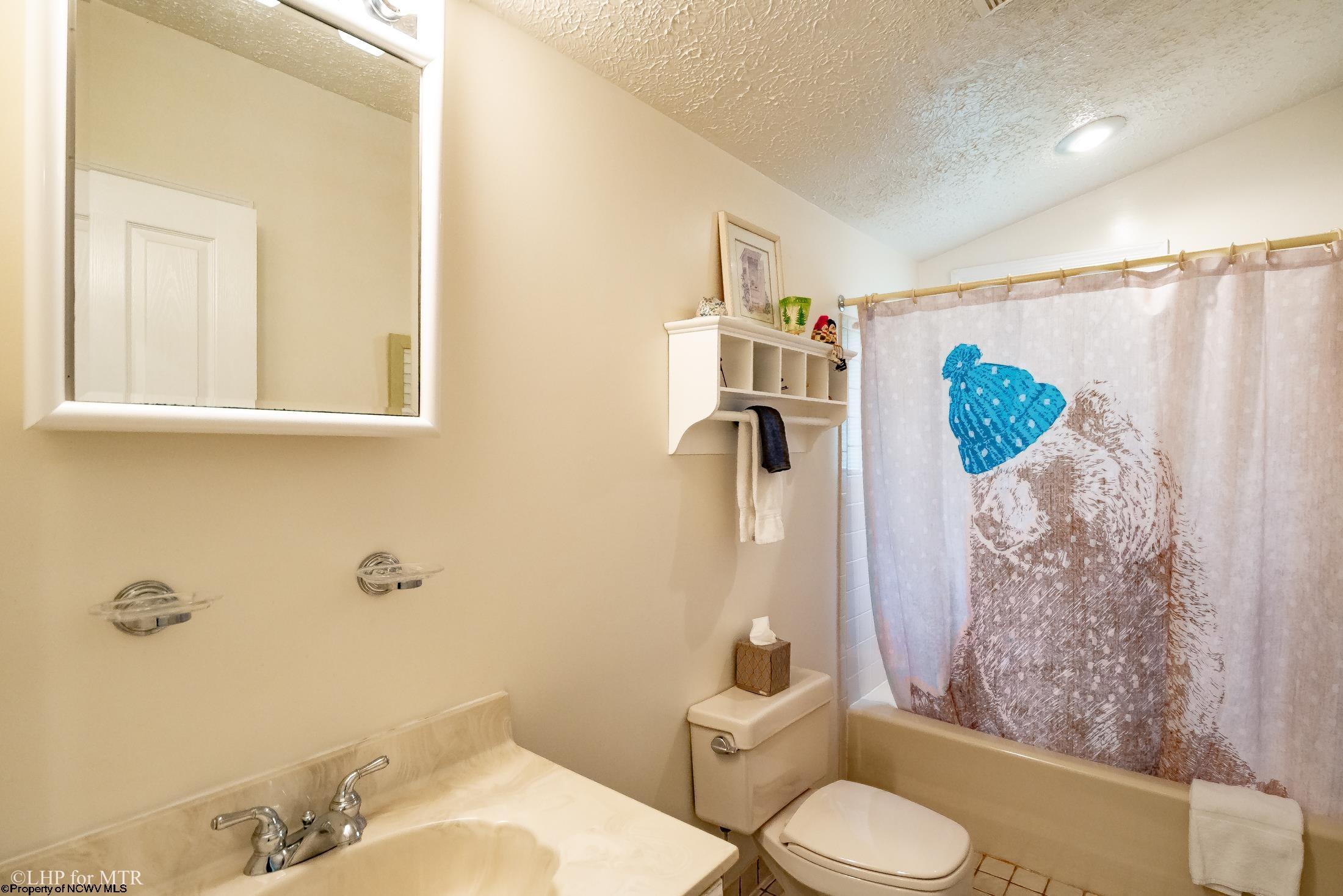 1681 Mountainside Road Davis, WV 26260 - Photo 20 of 42 Gallery Image 20