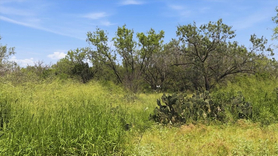 140 Choke Canyon Three Rivers, TX 78071 - Photo 7 of 17