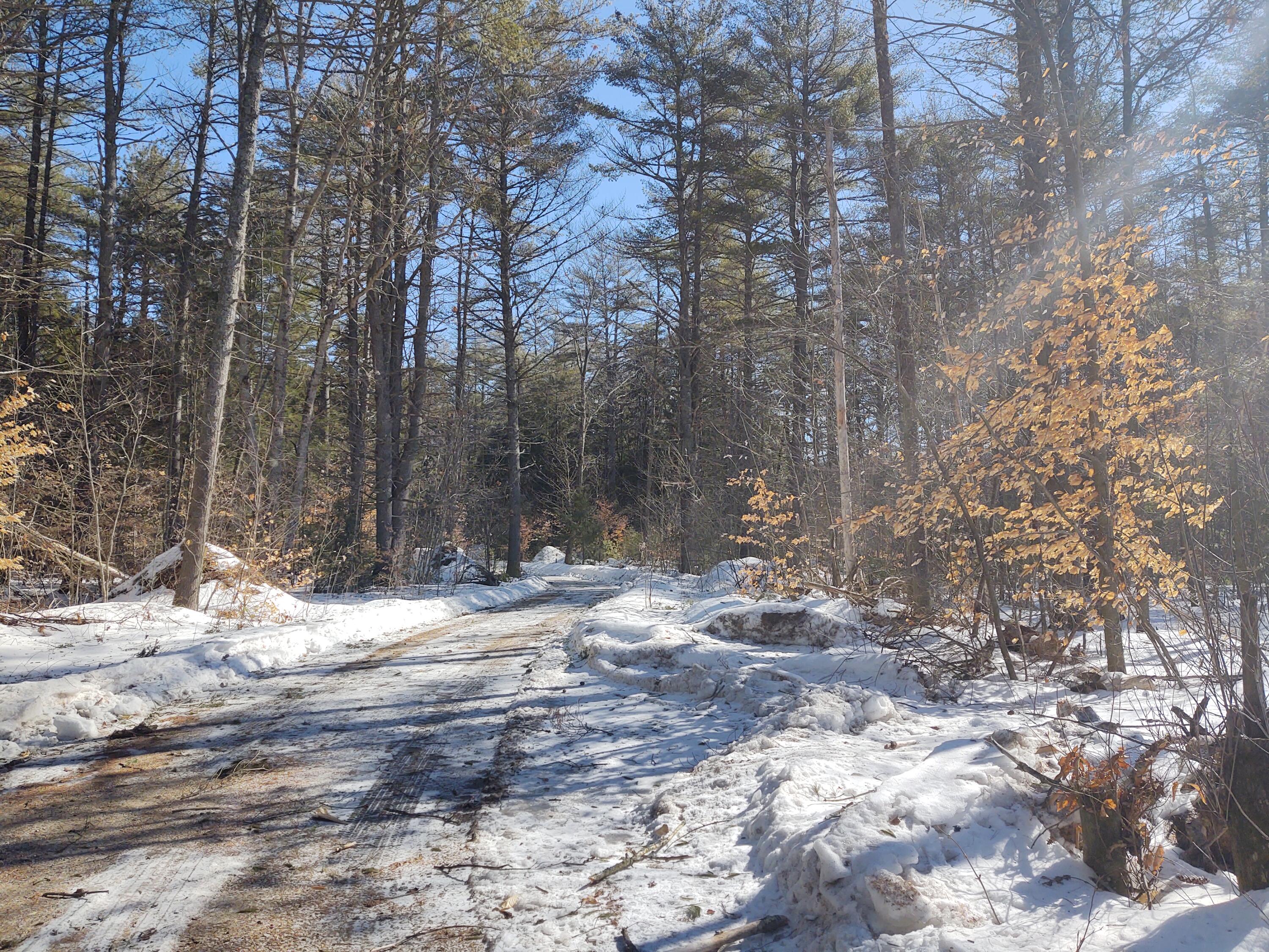 233 Flat Ground Road Acton, ME 04001 - Photo 23 of 33 from mobile towards road view of drivewa