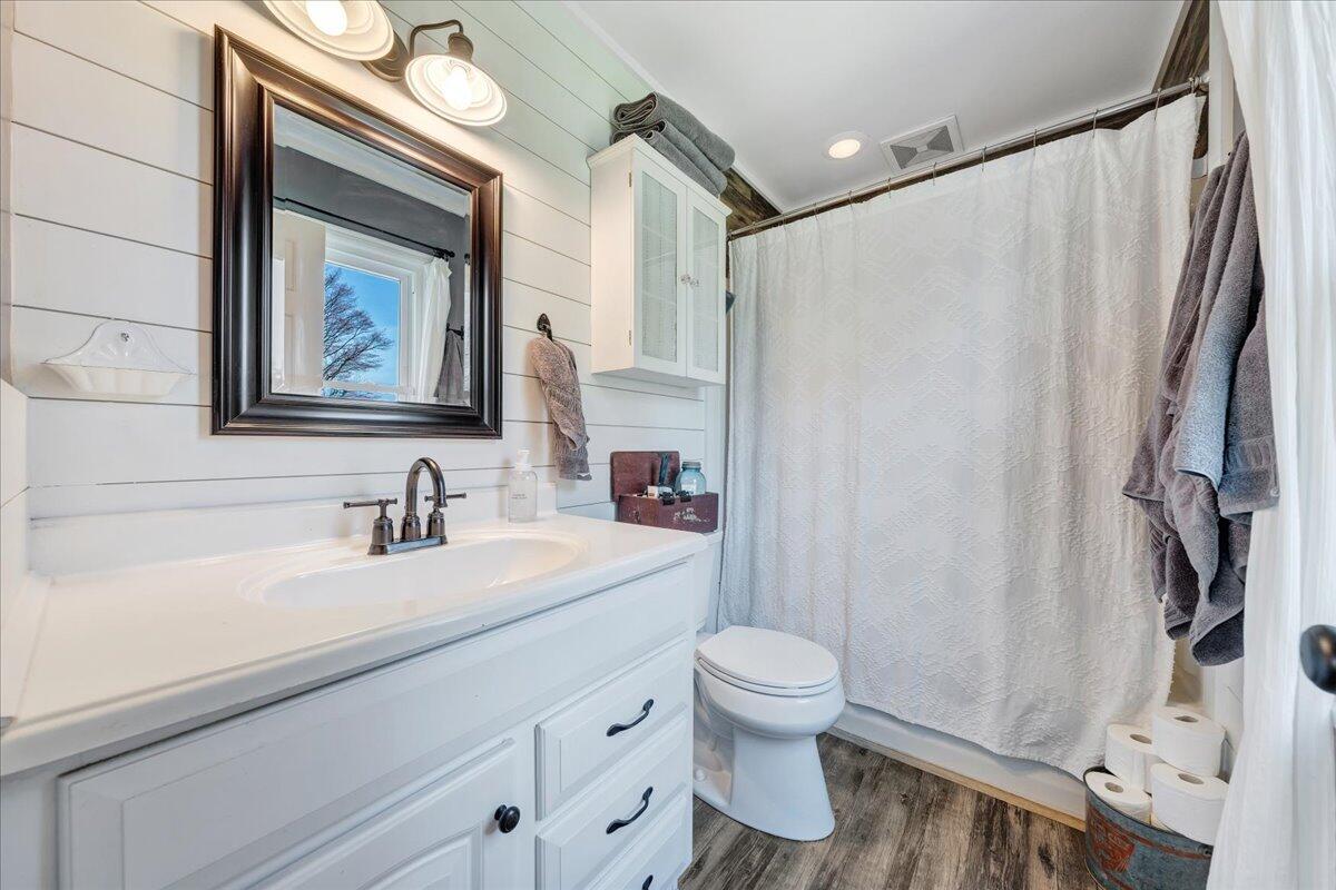 123 Bartley Drive Salem, VA 24153 - Photo 36 of 57 a bathroom with a sink a toilet and a mirror