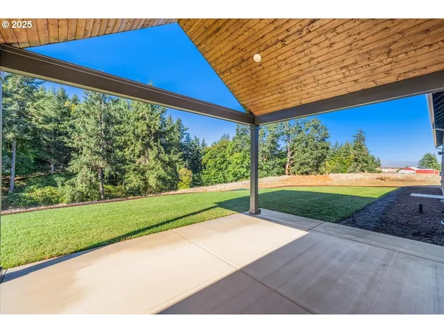 a view of a backyard with a garden and plants