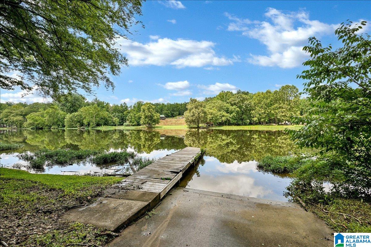 526 Boat Launch Road Quinton, AL 35130 - Photo 36 of 56