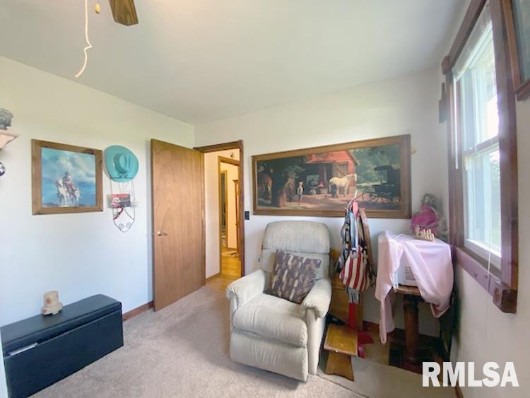26067 East Breeds Road Canton, IL 61520 - Photo 20 of 32 Gallery Image 20
