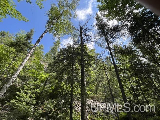 20-acres Willow Creek Road Negaunee, MI 49866 - Photo 1 of 17