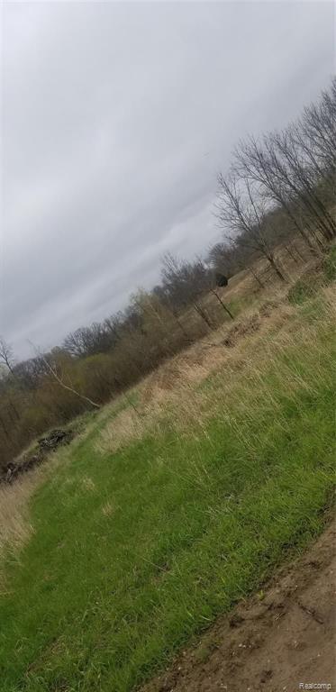 -parcel A Steinacker Road Howell, MI 48855 - Photo 4 of 4 Gallery Image 4