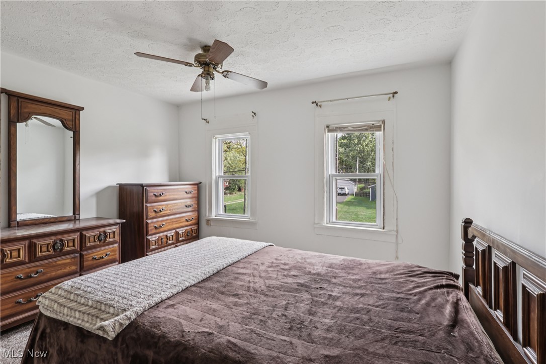 1674 Betz Road Akron, OH 44306 - Photo 18 of 29 Primary bedroom with ceiling fan / light and carpet flooring