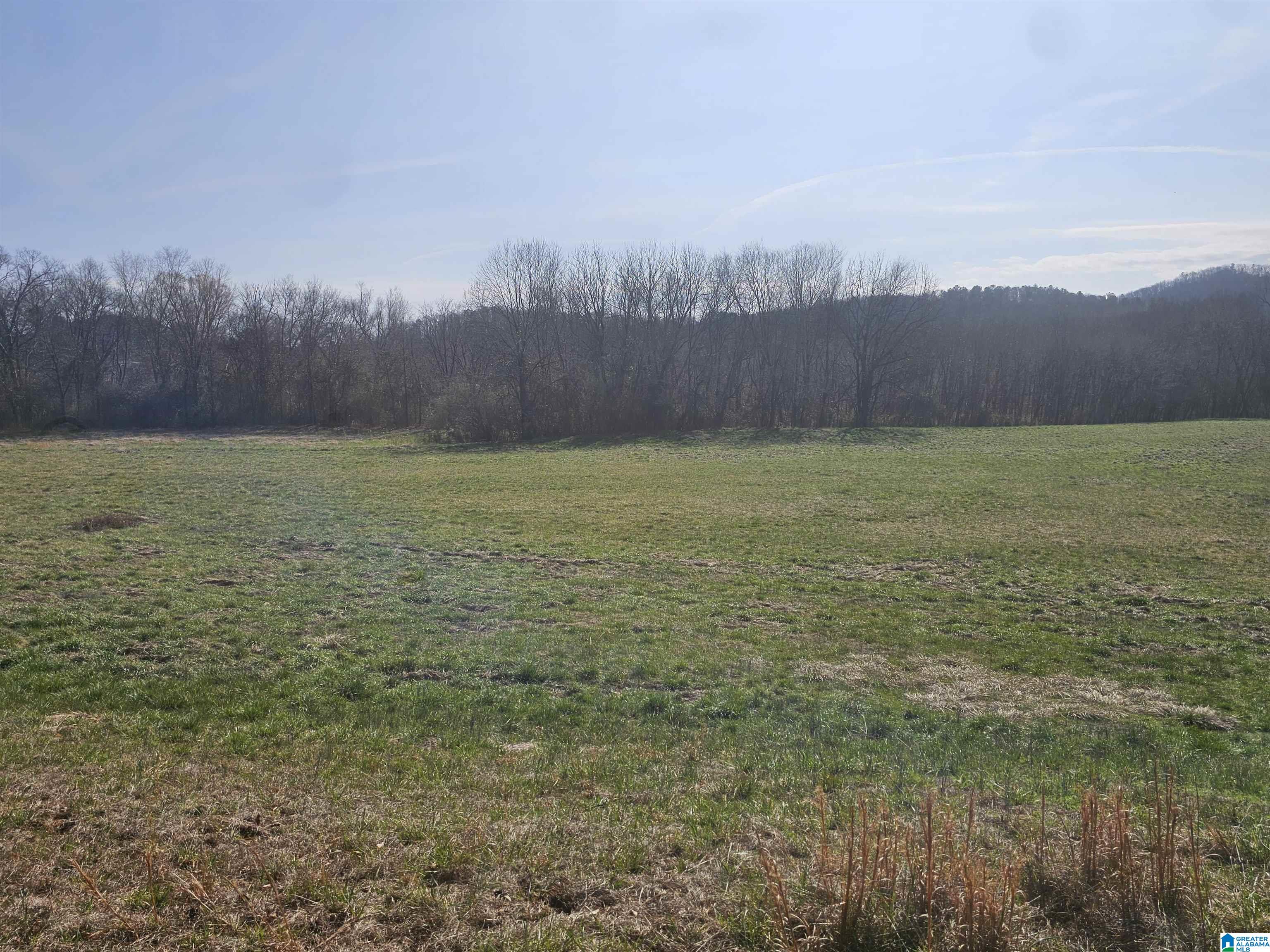 1150 River Road Heflin, AL 36264 - Photo 2 of 56 Gallery Image 2