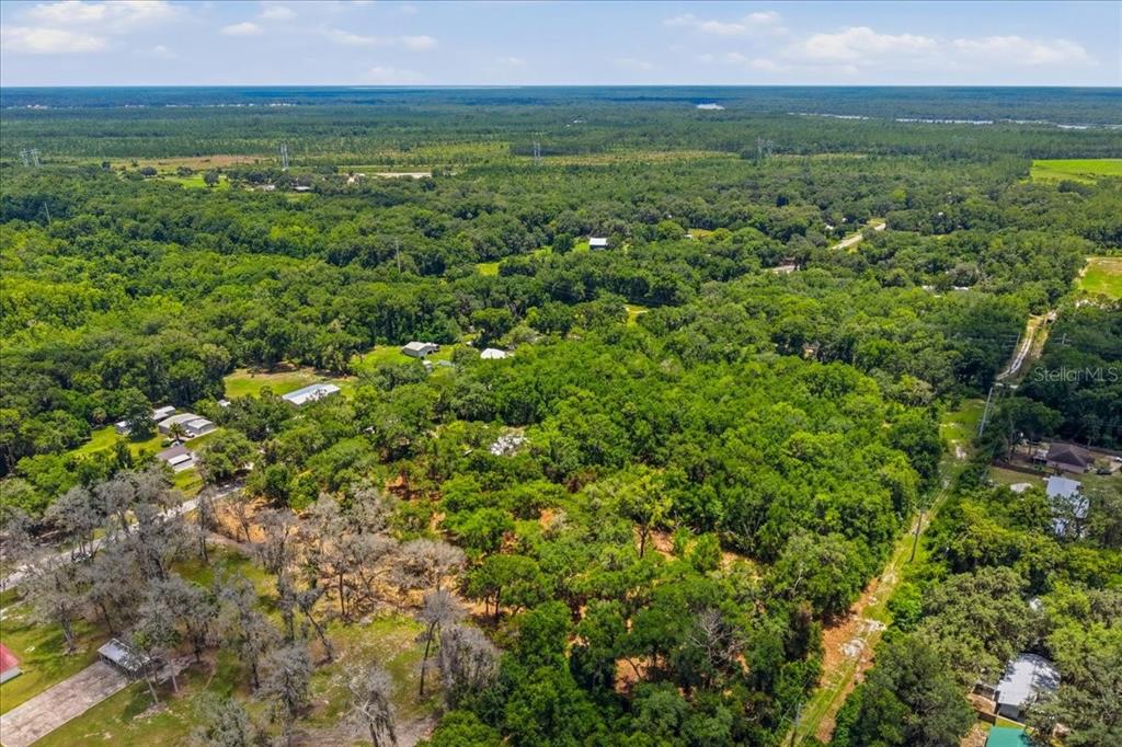 2800 Lundy Road Palatka, FL 32177 - Photo 13 of 17