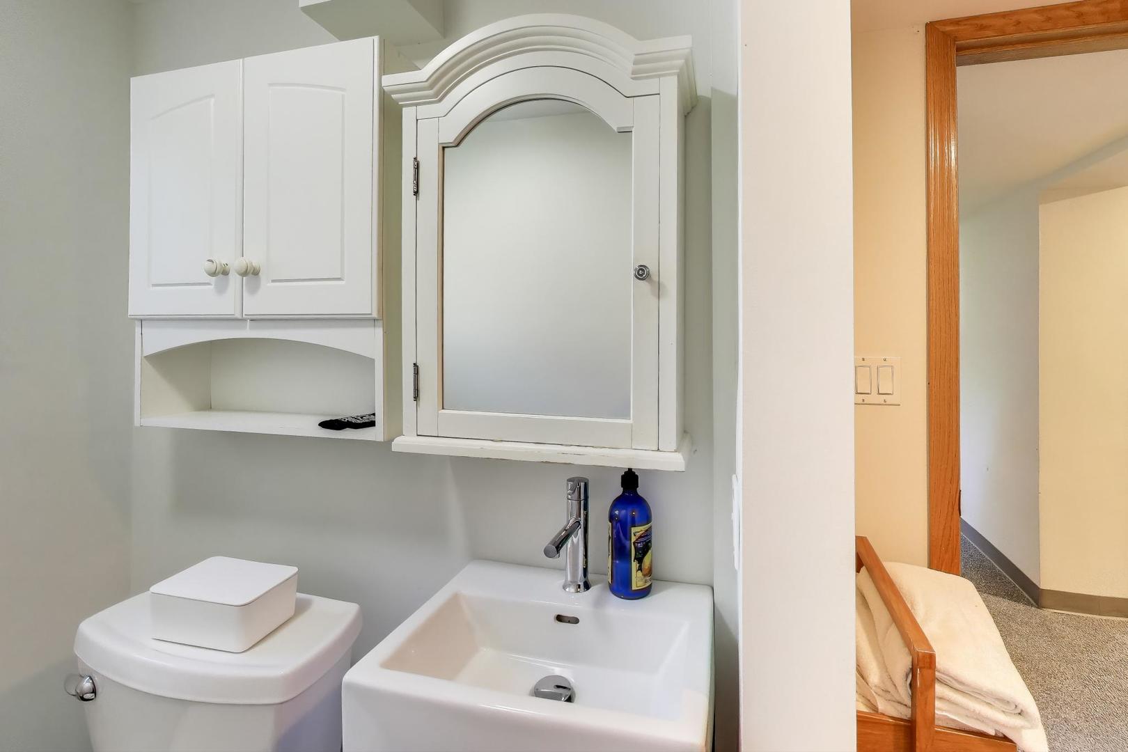823 Jackson Avenue River Forest, IL 60305 - Photo 43 of 60 a bathroom with a sink and a toilet
