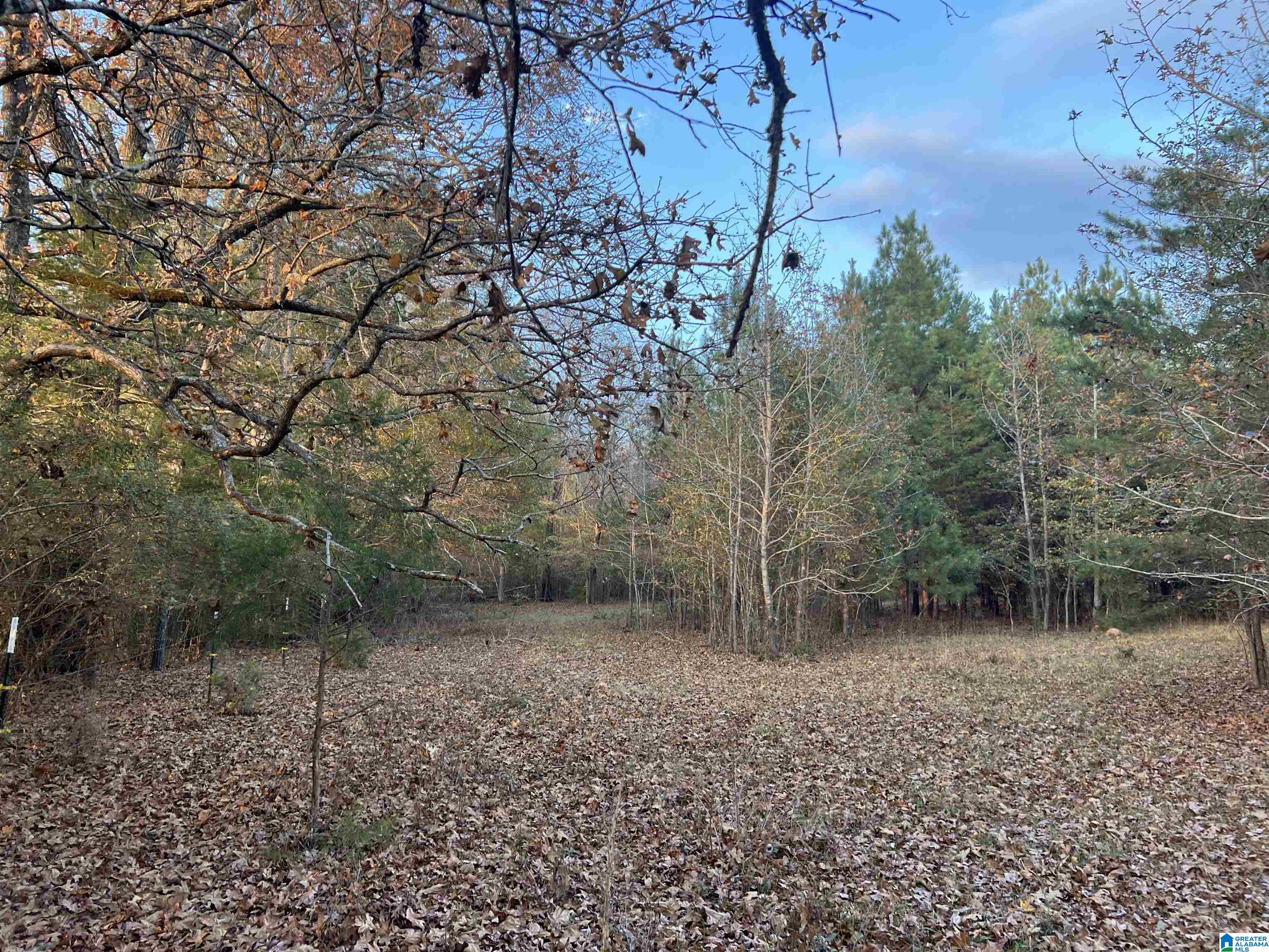 11-acres Risers Mill Road, Unit 11 ACRES Alpine, AL 35014 - Photo 18 of 23