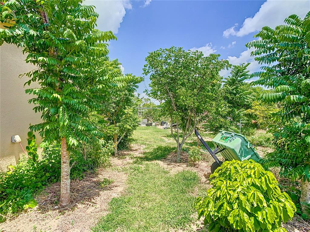 16300 Johns Lake Road Clermont, FL 34711 - Photo 66 of 76 a backyard of a house with lots of green space