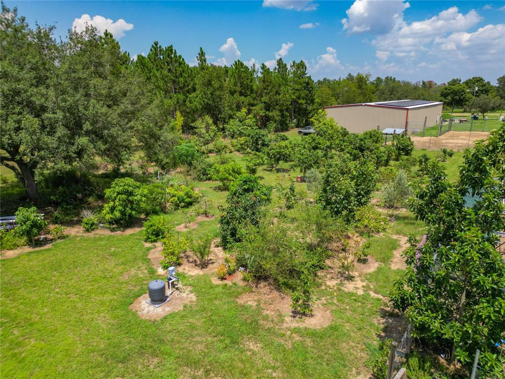 16300 Johns Lake Road Clermont, FL 34711 - Photo 70 of 76