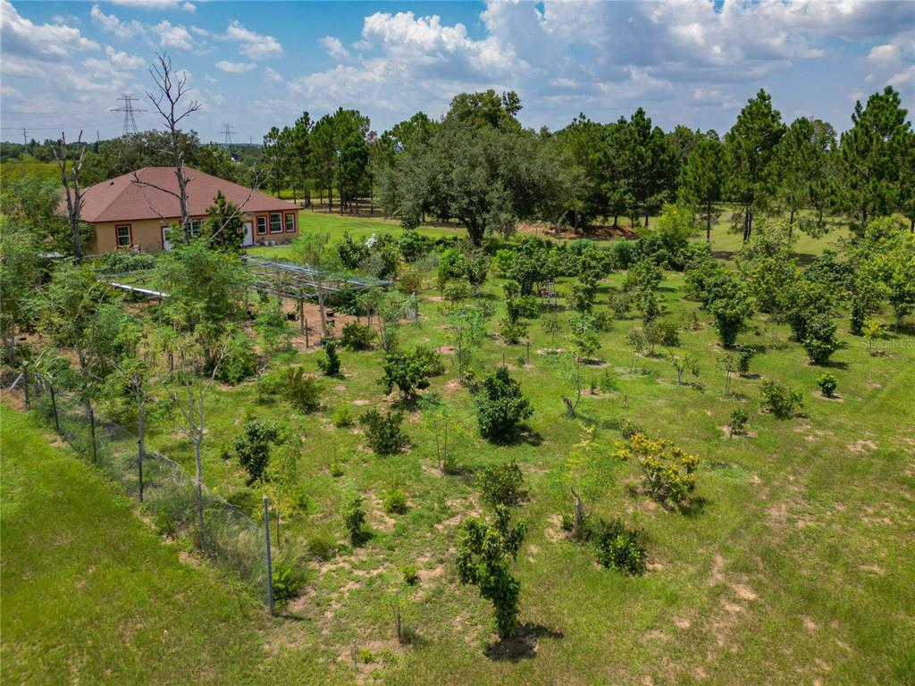 16300 Johns Lake Road Clermont, FL 34711 - Photo 71 of 76