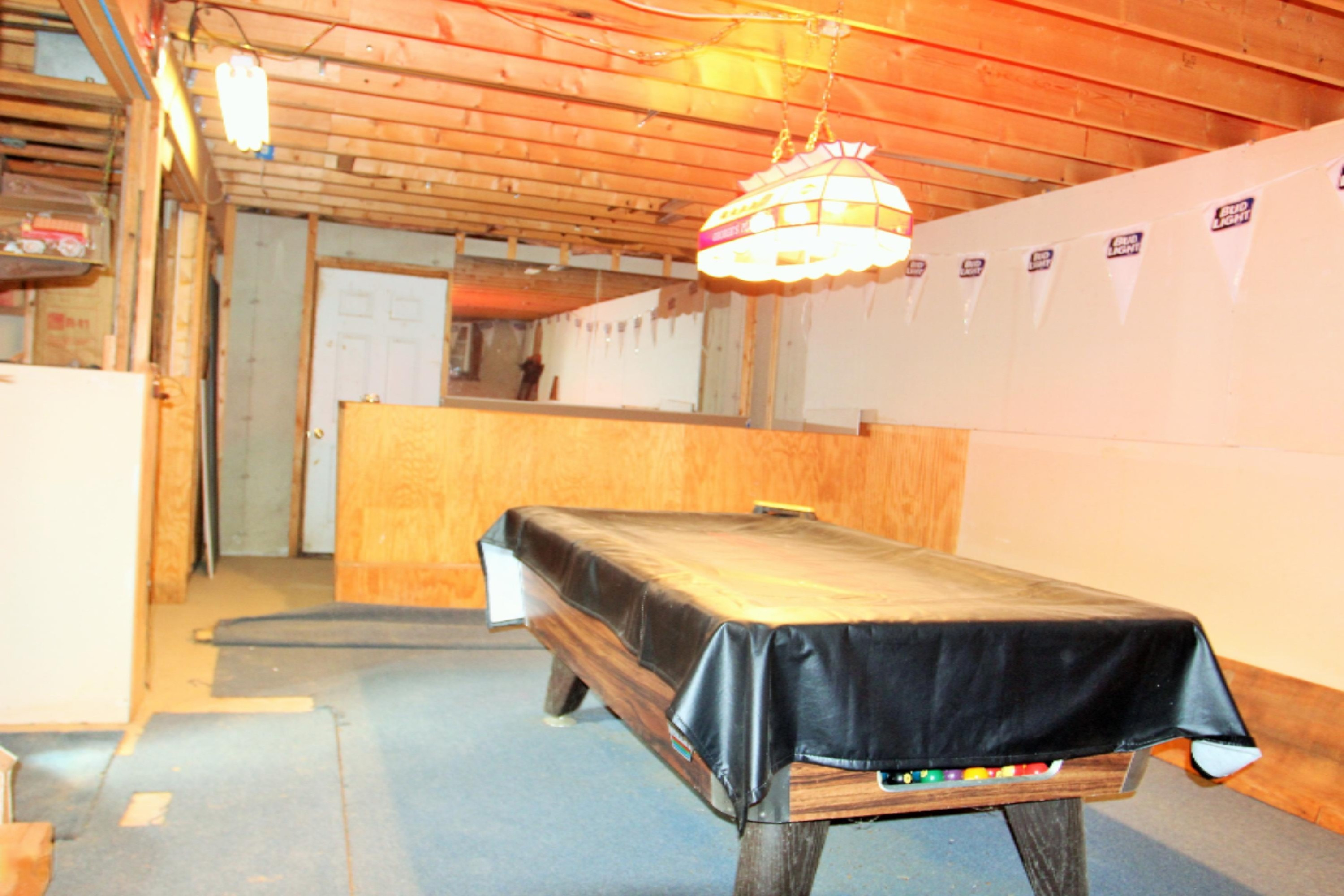 9336 Ionia Road Bellevue, MI 49021 - Photo 15 of 20 IMG_5010 (2)