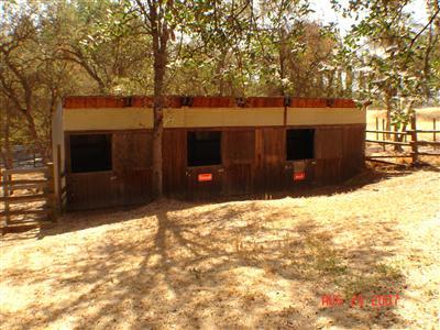 32133 George Smith Road Squaw Valley, CA 93675 - Photo 11 of 13 horse barn