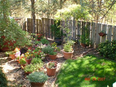 32133 George Smith Road Squaw Valley, CA 93675 - Photo 12 of 13 side yard