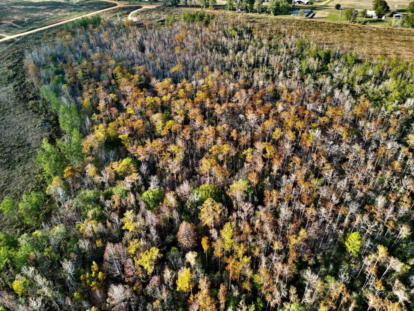 0 Wayside Road Atmore, AL 36502 - Photo 29 of 34