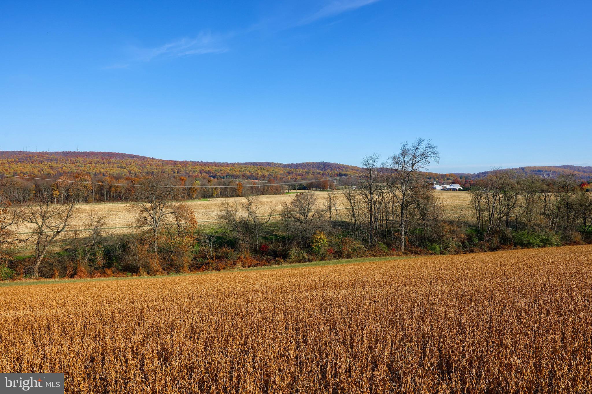 2041 Airy Hill Road Manheim, PA 17545 - Photo 3 of 42 Gallery Image 3