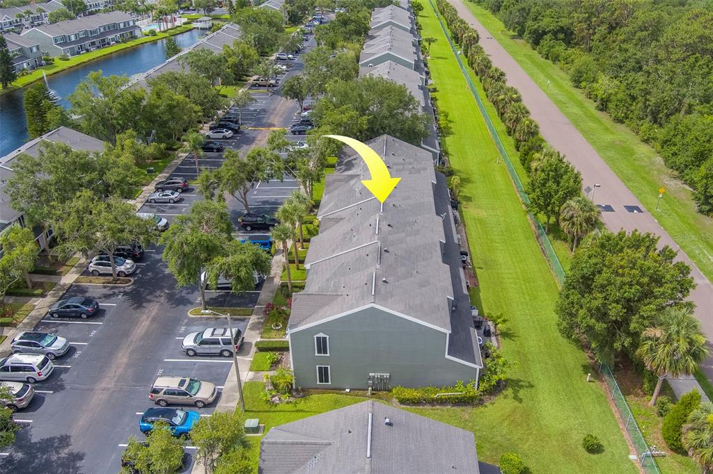 367 Countryside Key Boulevard Oldsmar, FL 34677 - Photo 27 of 30 Gallery Image 27