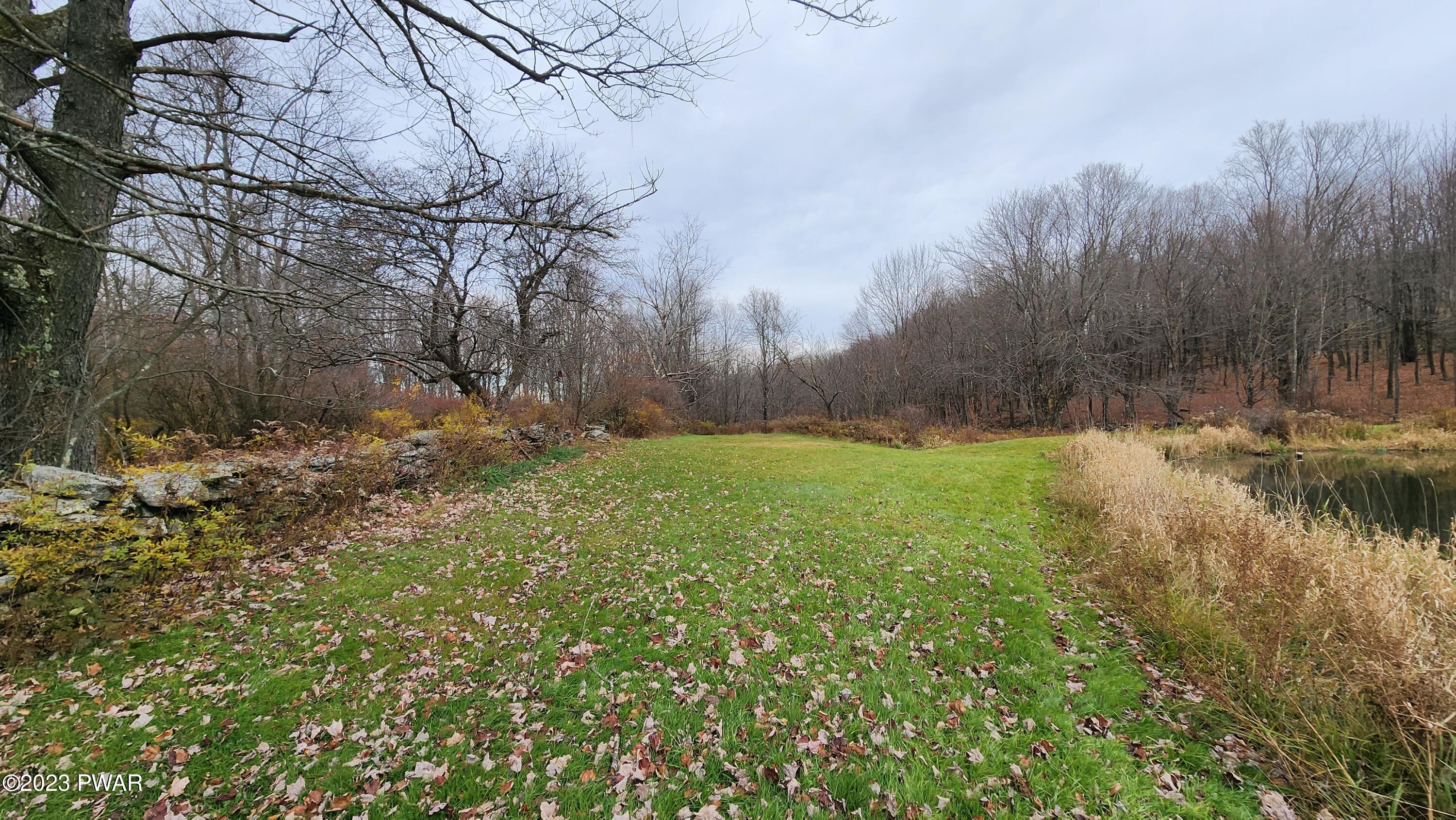 858 Wrighter Lake Road Thompson, PA 18465 - Photo 43 of 46 20231110_125413