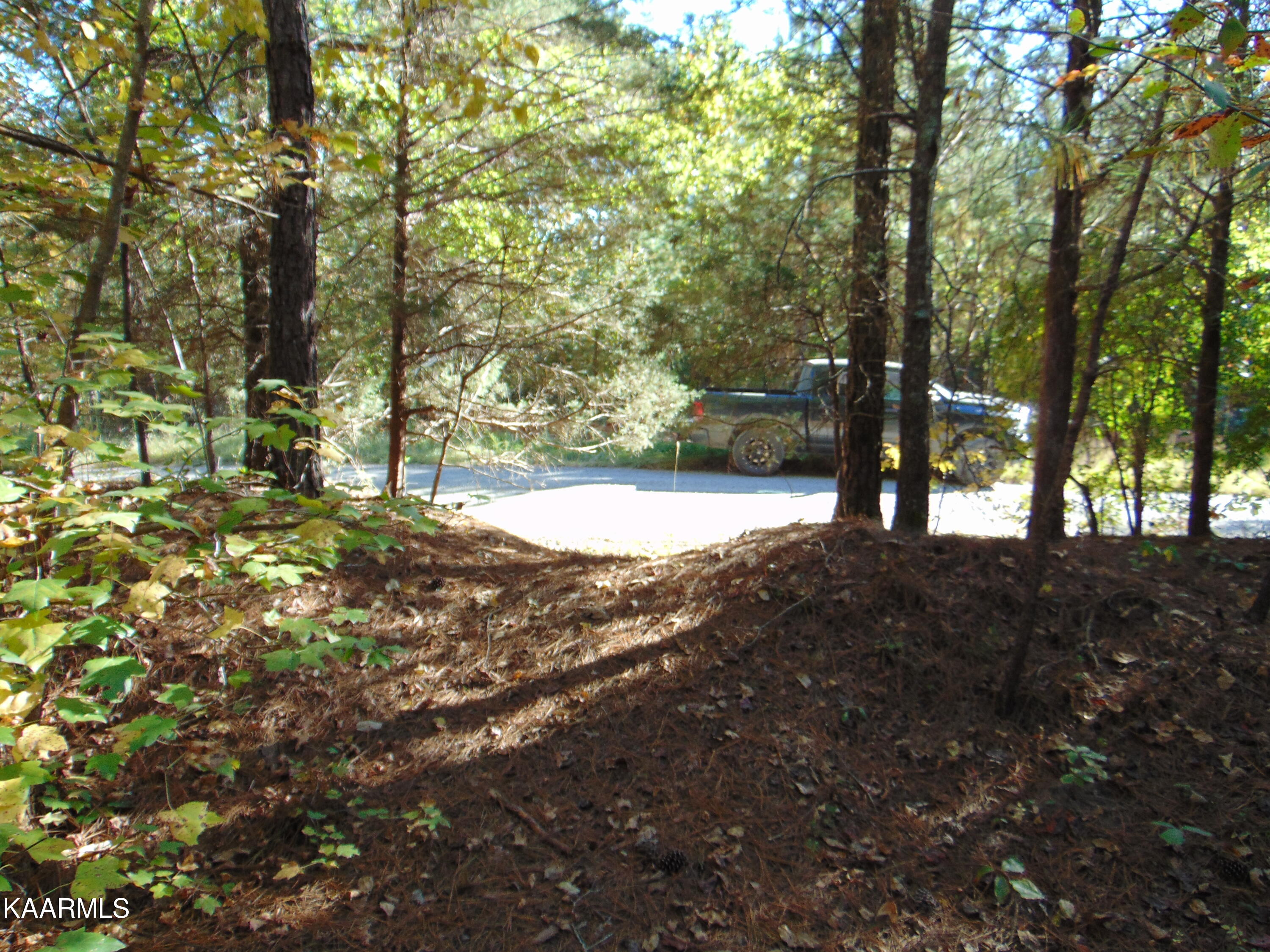Tract 2-e-3 Tract 2-e-3 Charles Road Decatur, TN 37322 - Photo 14 of 14 DSC01665