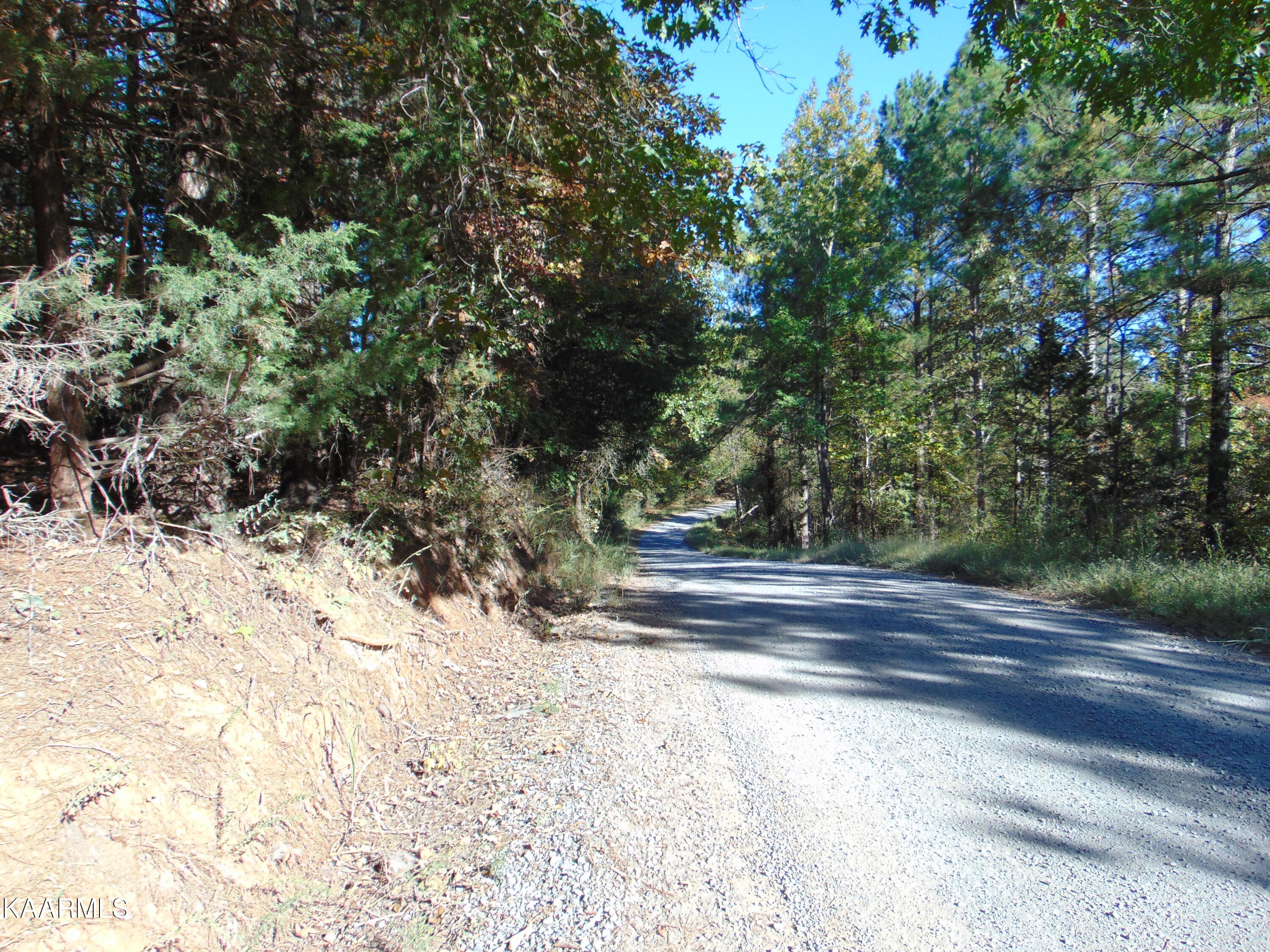 Tract 2-e-3 Tract 2-e-3 Charles Road Decatur, TN 37322 - Photo 2 of 14 DSC01653