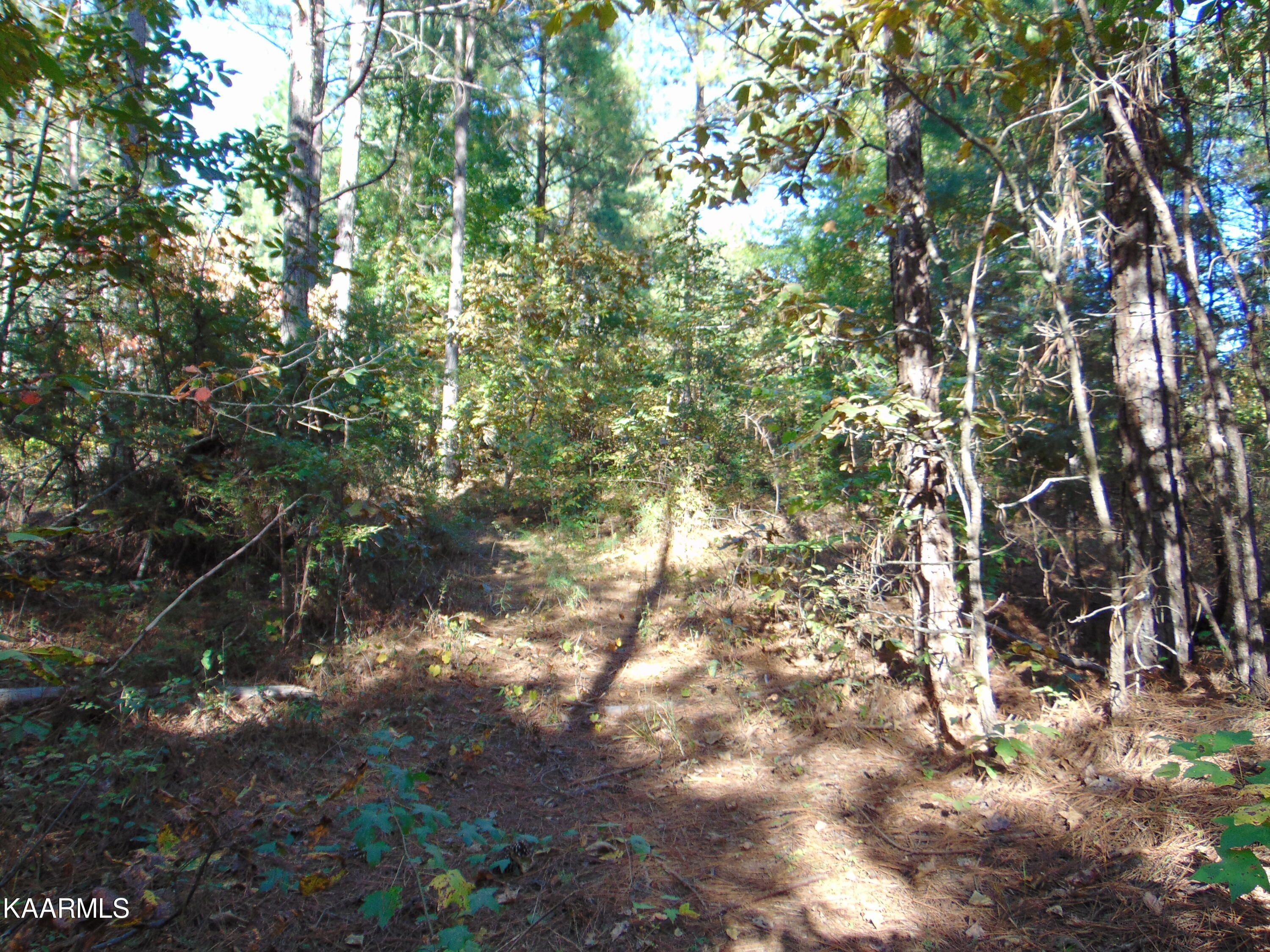Tract 2-e-3 Tract 2-e-3 Charles Road Decatur, TN 37322 - Photo 4 of 14 DSC01655
