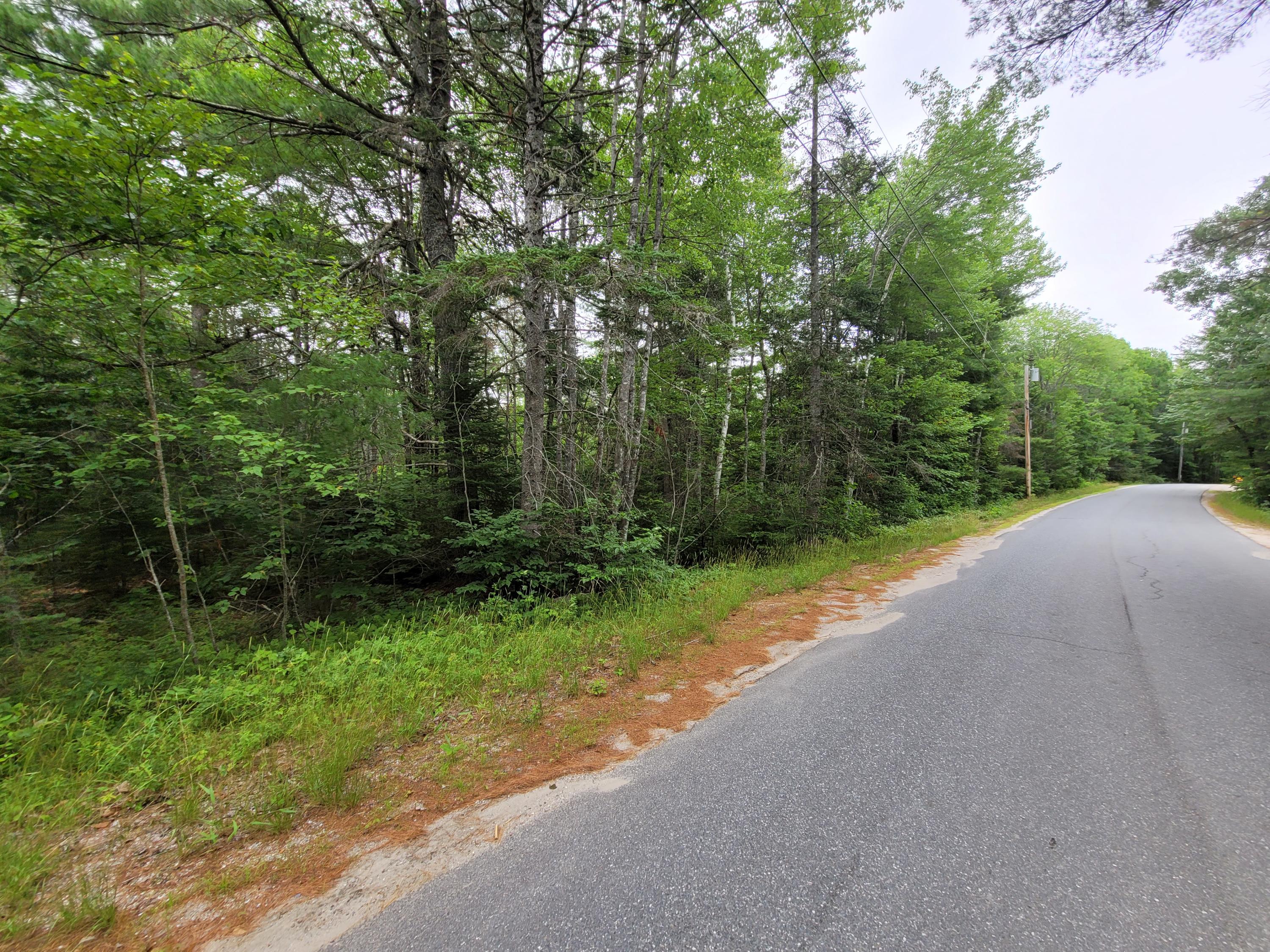 12 Matty Way Franklin, ME 04634 - Photo 12 of 18 20210708_105128