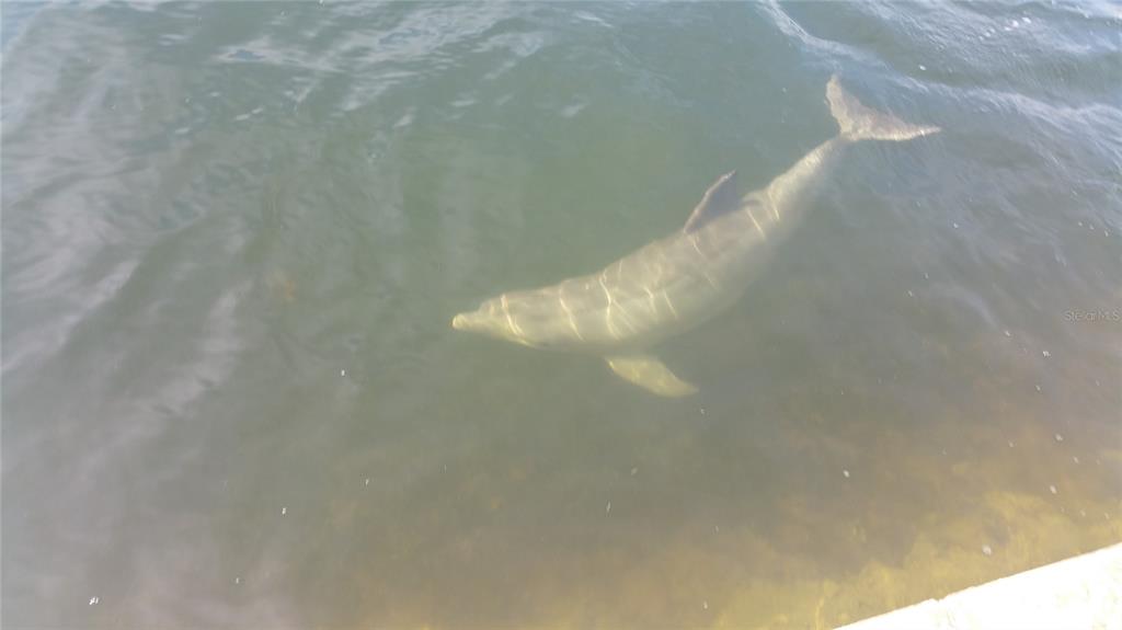 6009 Sea Ranch Drive, Unit 507 Hudson, FL 34667 - Photo 30 of 69