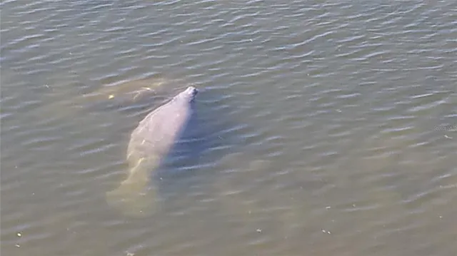 a room with musical instruments