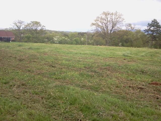 5138 Gregory Road Greenback, TN 37742 - Photo 6 of 8 More property