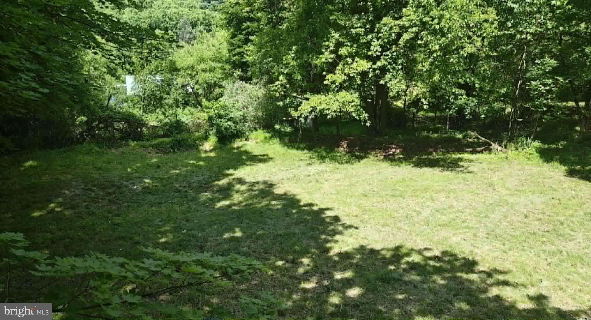 439 Trevorton Road Trevorton, PA 17881 - Photo 76 of 79 Lush green retreat in serene nature.