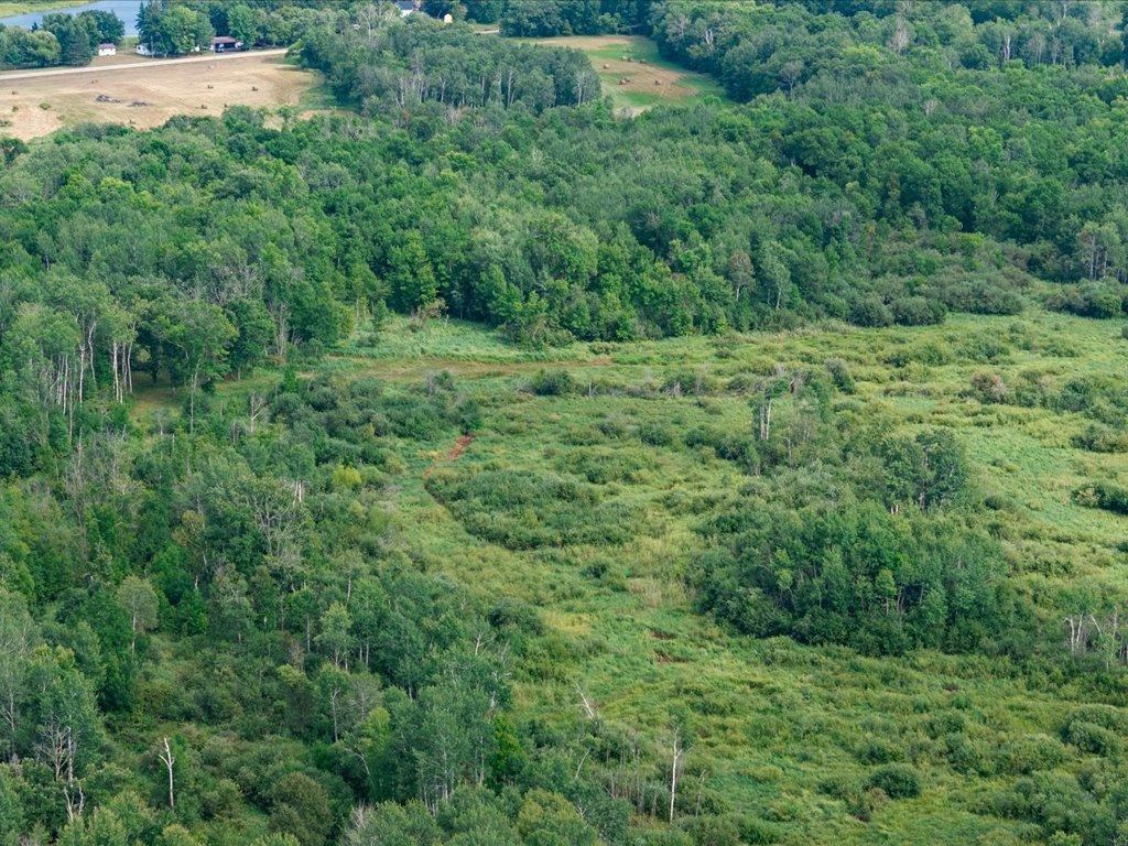 Tbd Azalea Road Motley, MN 56466 - Photo 25 of 39 Gallery Image 25