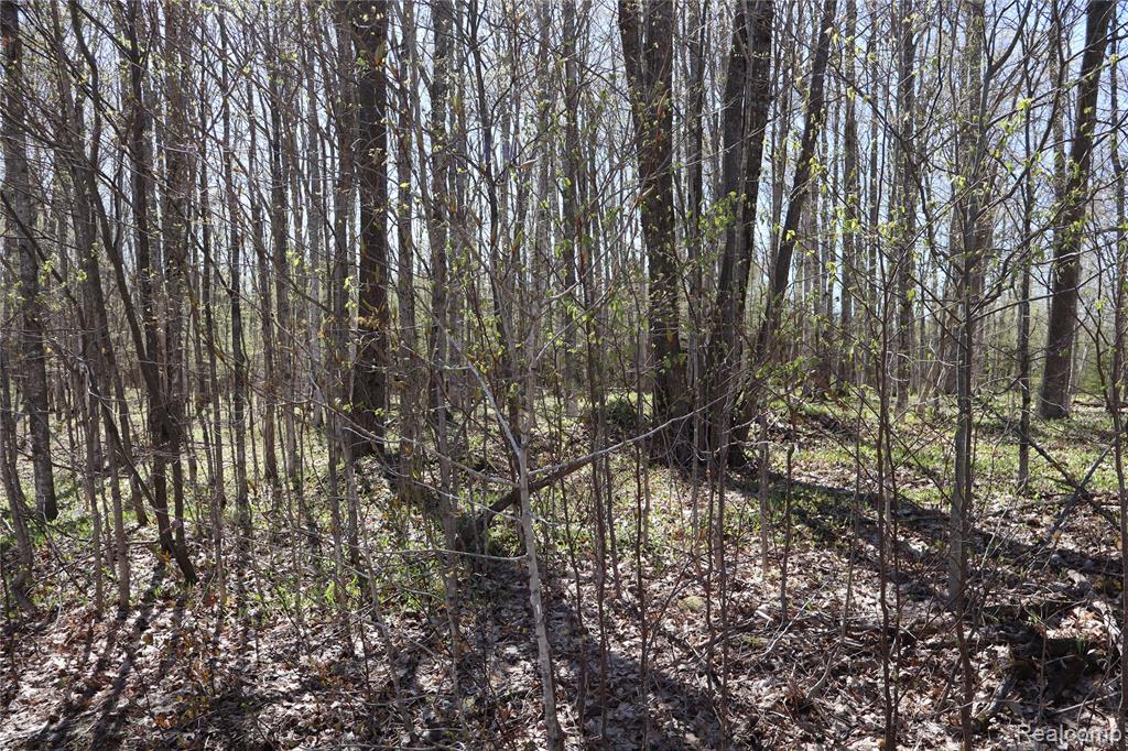 5575 East 26 Mile Road Pickford, MI 49774 - Photo 33 of 36