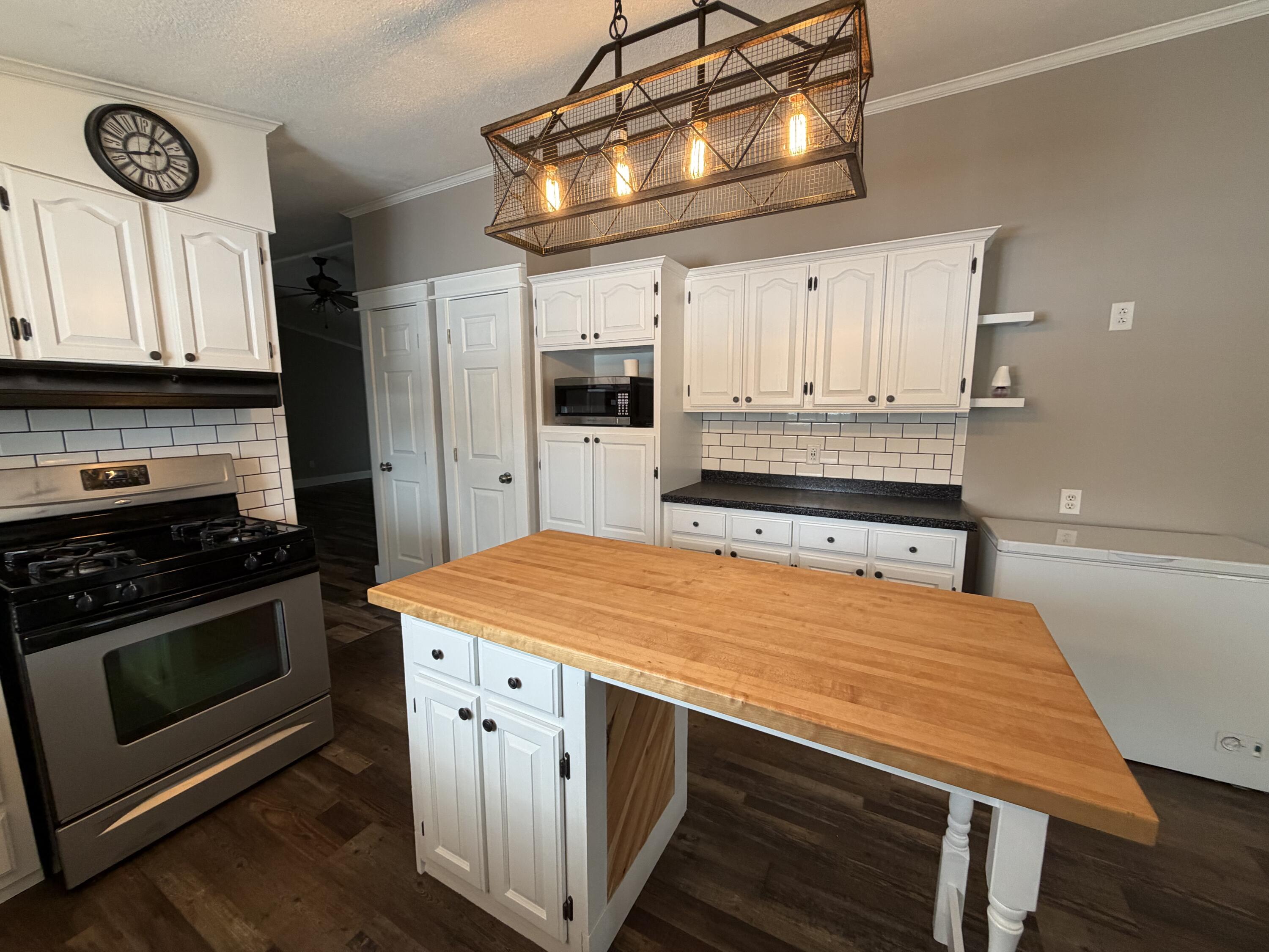 580 South Snyder Street Marcellus, MI 49067 - Photo 8 of 30 IMG_5170