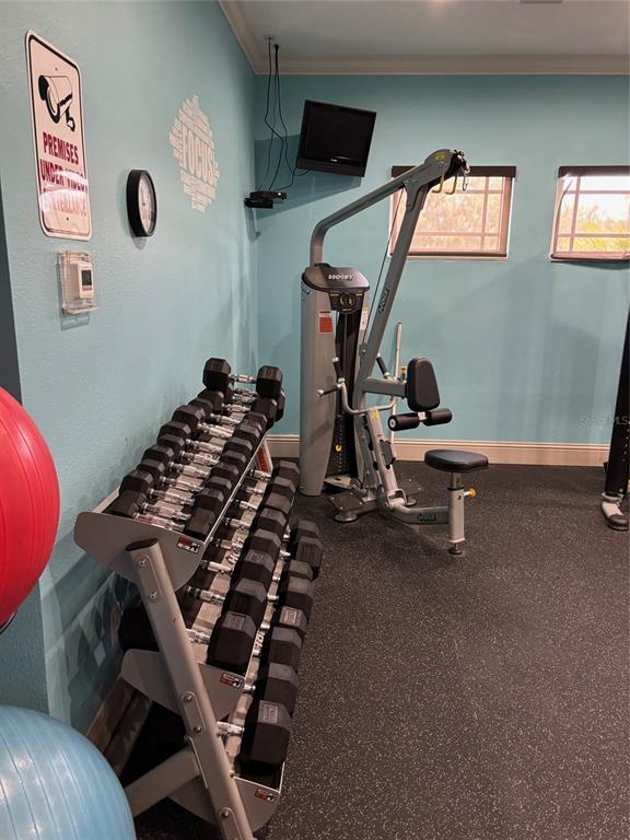 10915 79th Street East Parrish, FL 34219 - Photo 18 of 27 a room with gym equipment and windows