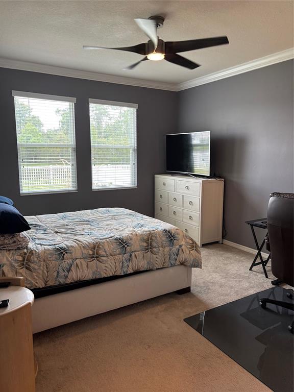 10915 79th Street East Parrish, FL 34219 - Photo 26 of 27 a bedroom with a bed and a flat screen tv
