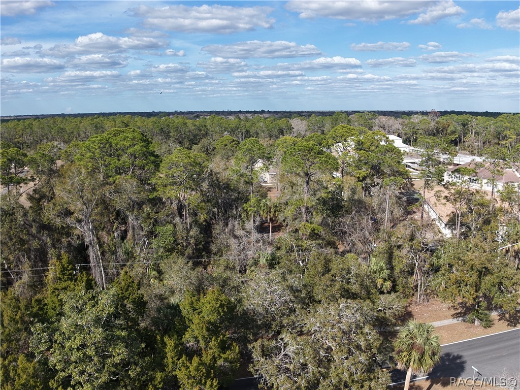 14 Canterbury Road Inglis, FL 34449 - Photo 57 of 59
